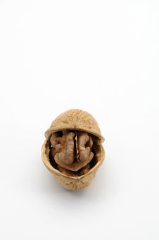 Walnut Royalty Free Stock Image Walnut Royalty Free Stock Image