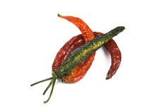 Colorful Chillies Royalty Free Stock Image