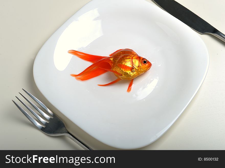 Goldfish In Plate