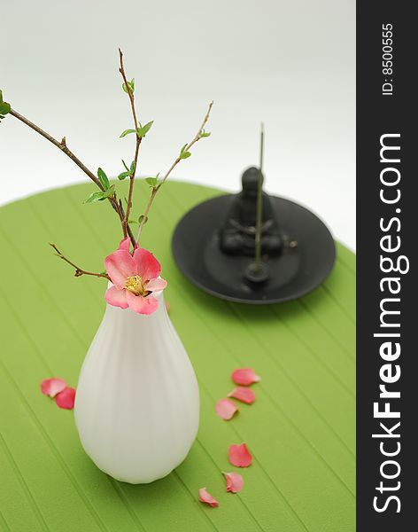 White Vase With Budding Blossom Over Green