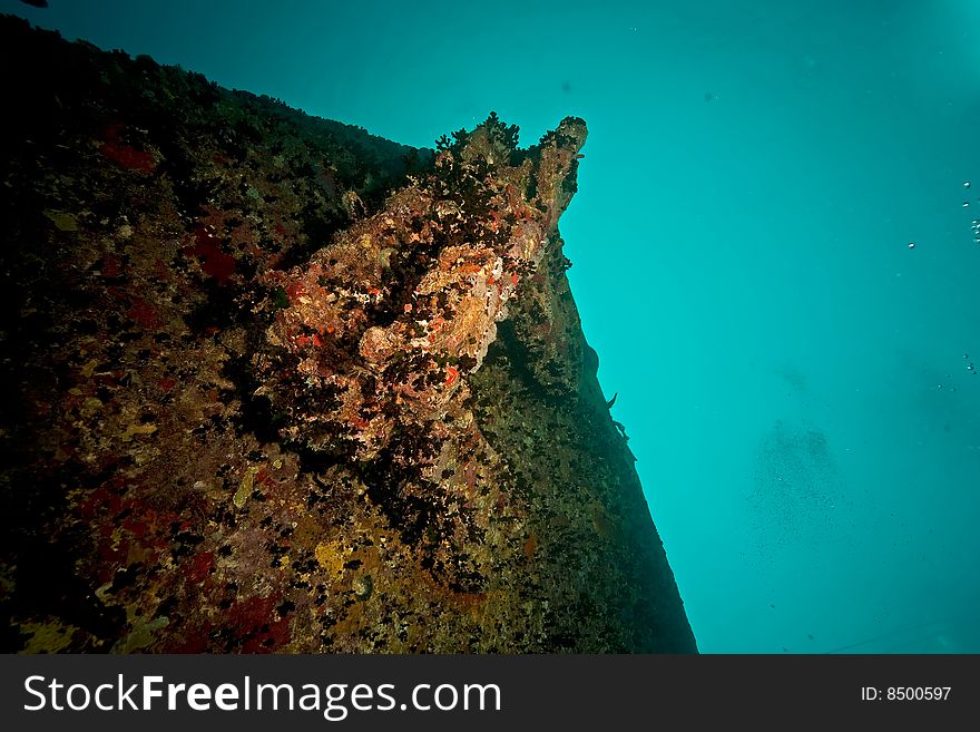 Port Side Hill Anchor Of The Thistlegorm