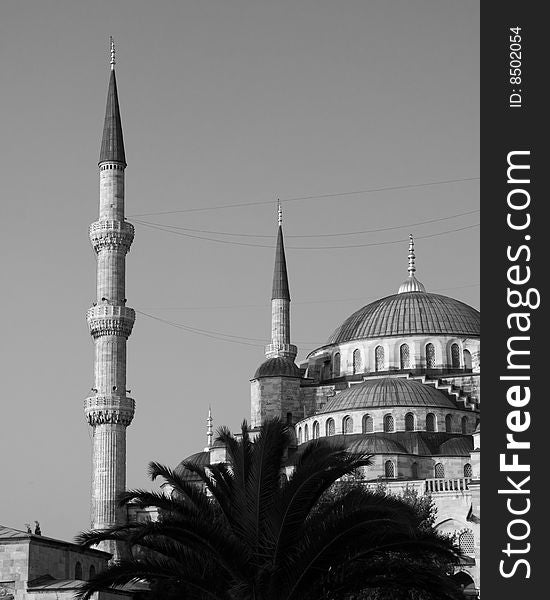 The Blue Mosque, Istanbul, Turkey, bathed in the light of the morning sun.