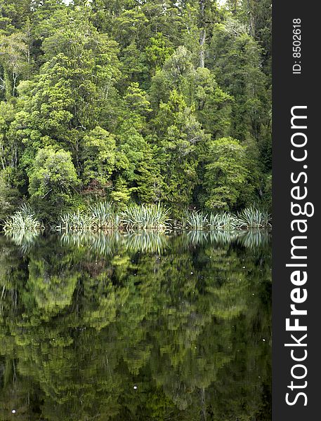 Reflection Of Trees On Lake