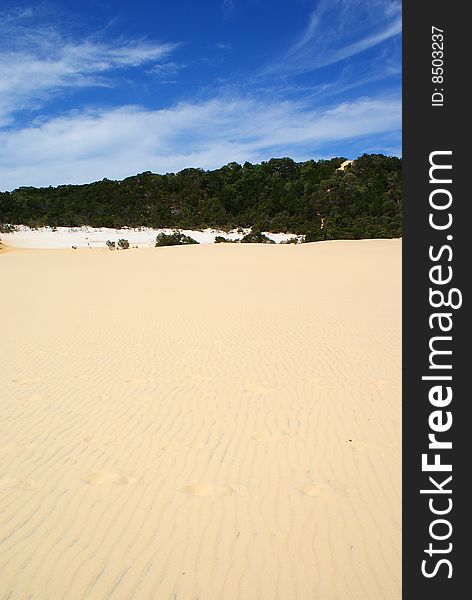 The dunes at lake wabby, fraser island. The dunes at lake wabby, fraser island