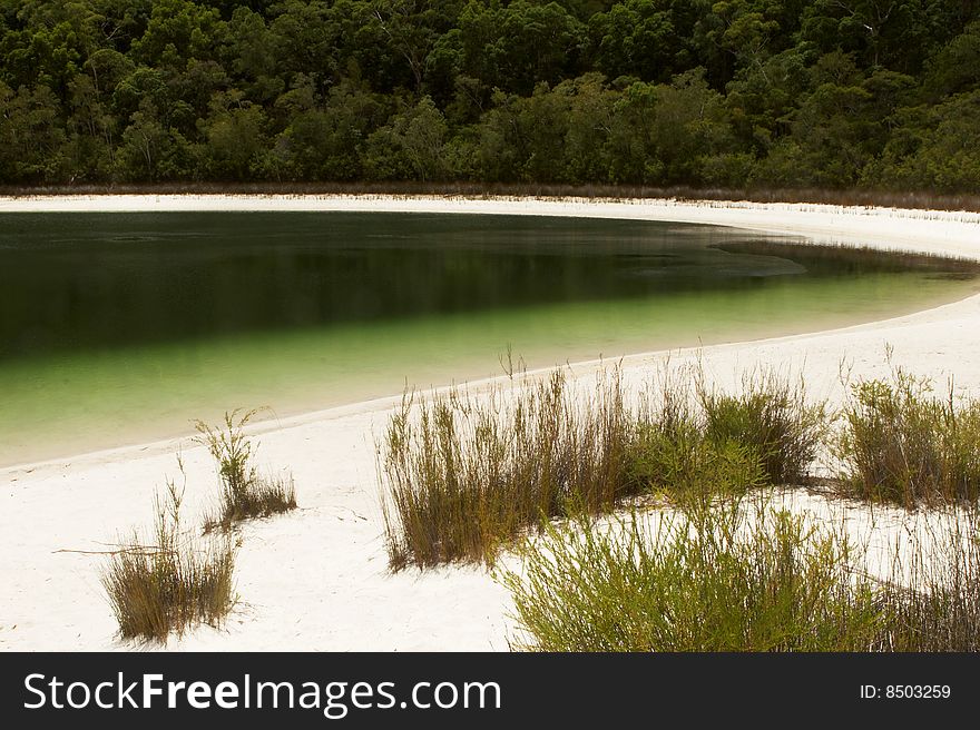 A lake of green with white sand beaches and green foliage. A lake of green with white sand beaches and green foliage