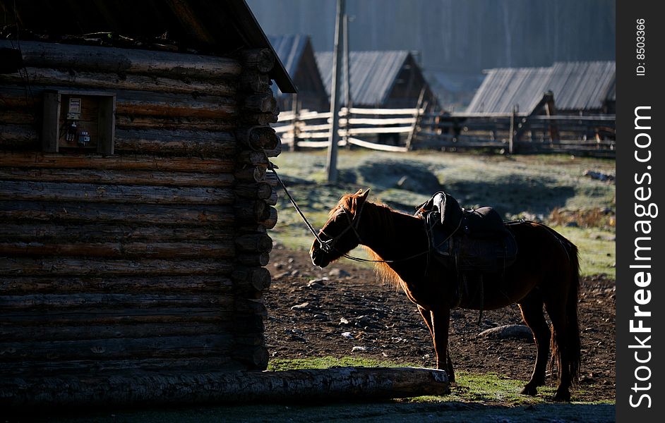 Old village house with a horse under the windows,xinjiang,china