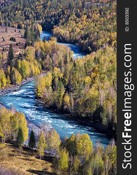 Jade river through the forest in xinjiang province,china. Jade river through the forest in xinjiang province,china.