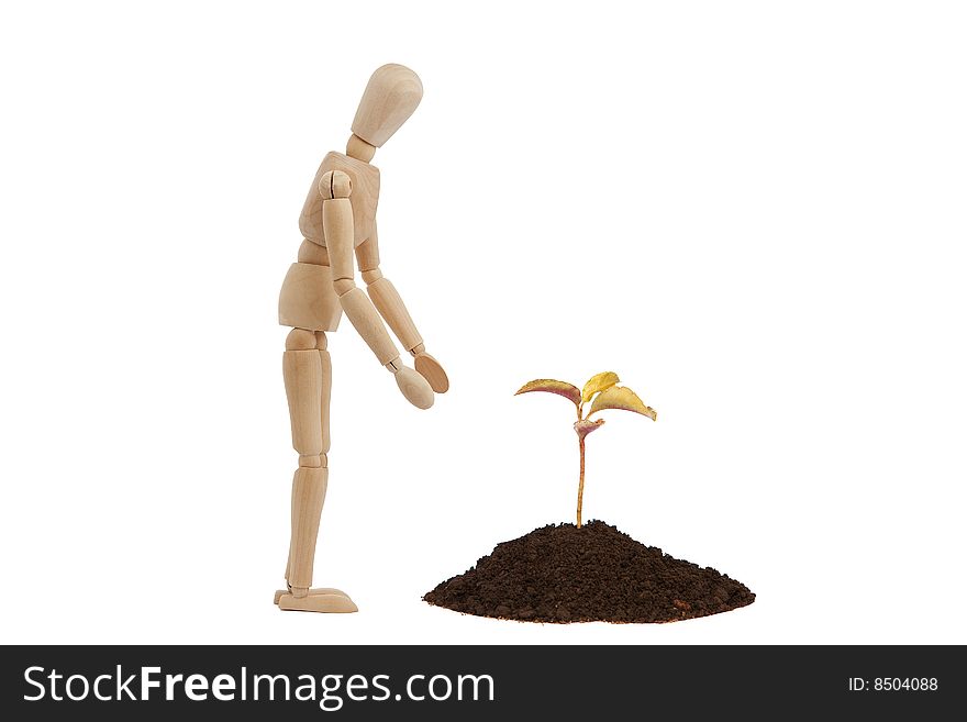 Wooden man with small tree. Wooden man with small tree