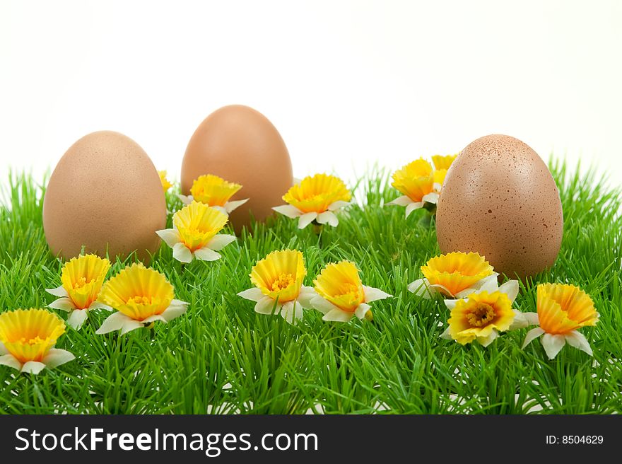 Easter eggs in spring isolated on a white background