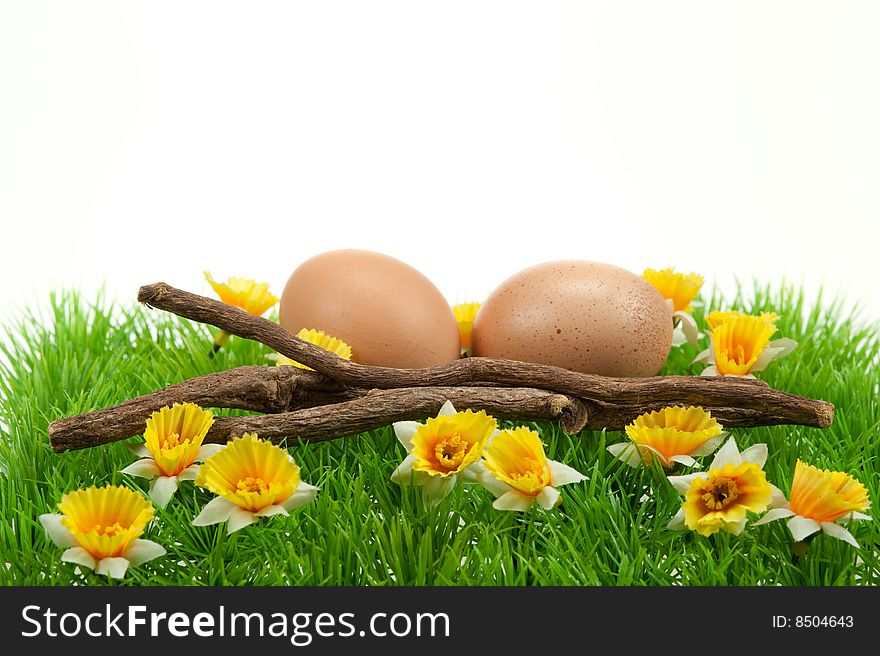 Easter eggs in spring isolated on a white background