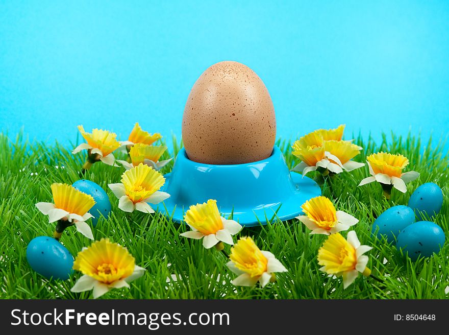 Easter eggs in spring with a blue sky background