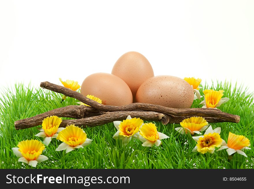 Easter eggs in spring isolated on a white background