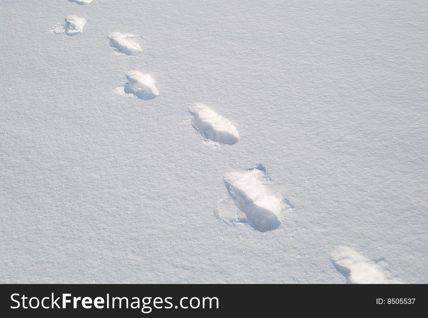 Footprint on snow diagonal pattern