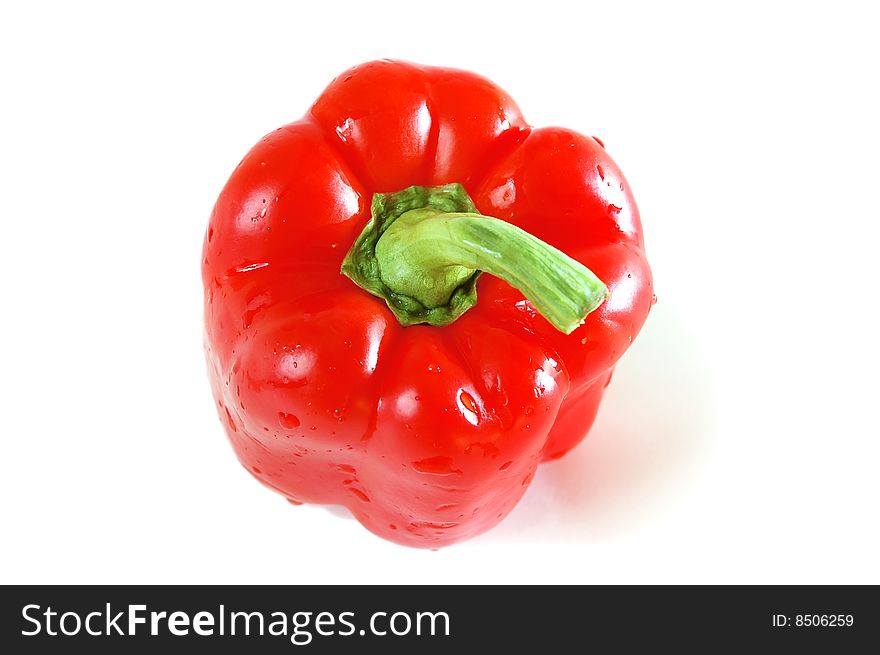 Isolated wet red pepper on the white background.