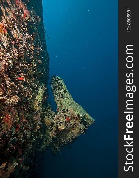 Port side hill anchor of the Thistlegorm