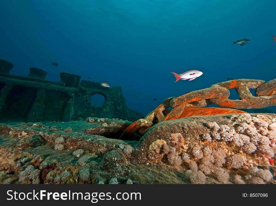 Bow side of the Thistlegorm