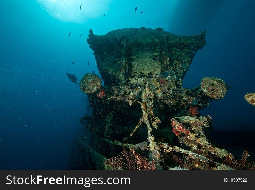 Wreck Thistlegorm 1941 taken in the red sea. Wreck Thistlegorm 1941 taken in the red sea.