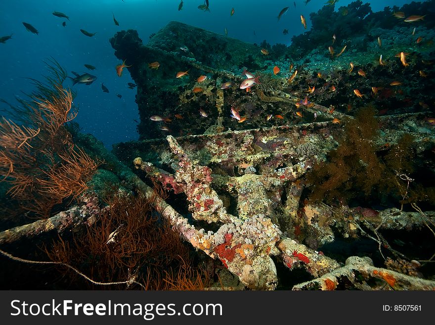 Tank wagon on the Thistlegorm