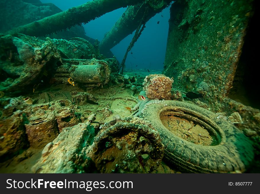 Wreck Thistlegorm 1941 taken in the red sea.