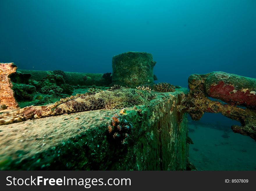 Wreck Thistlegorm 1941 taken in the red sea. Wreck Thistlegorm 1941 taken in the red sea.