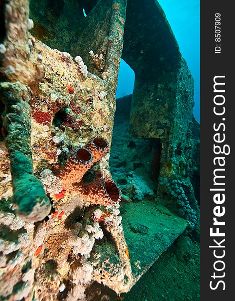 Wreck Thistlegorm 1941 taken in the red sea. Wreck Thistlegorm 1941 taken in the red sea.