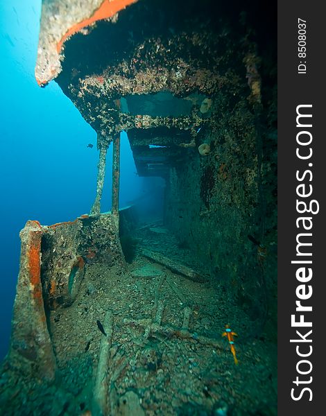 Starboard Gangway Of The Thistlegorm