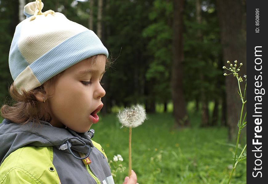 The Girl With Dandelion.