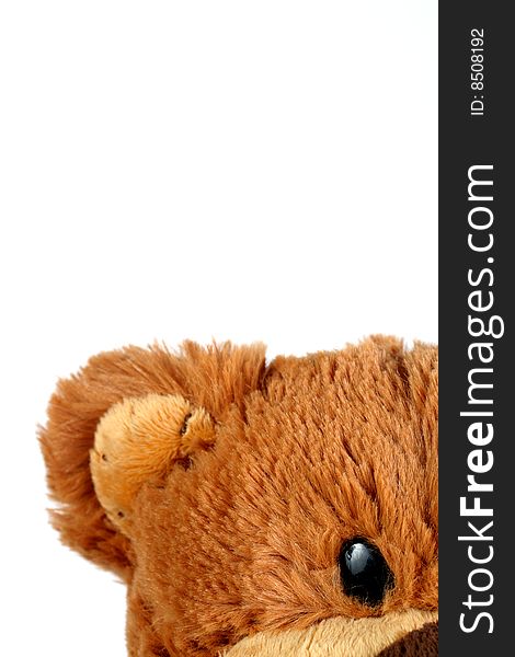Light brown cute teddy bear