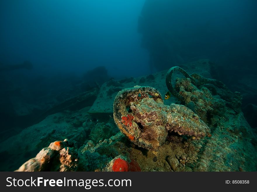 Wreck Thistlegorm 1941 taken in the red sea.