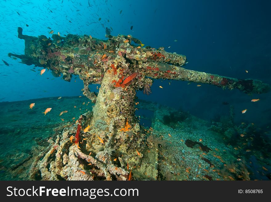 Wreck Thistlegorm 1941 taken in the red sea. Wreck Thistlegorm 1941 taken in the red sea.