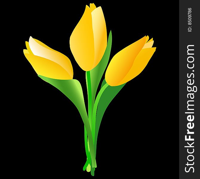 A bunch of yellow tulips on the black background. AI file is attached. Gradient used. Blend tool used.