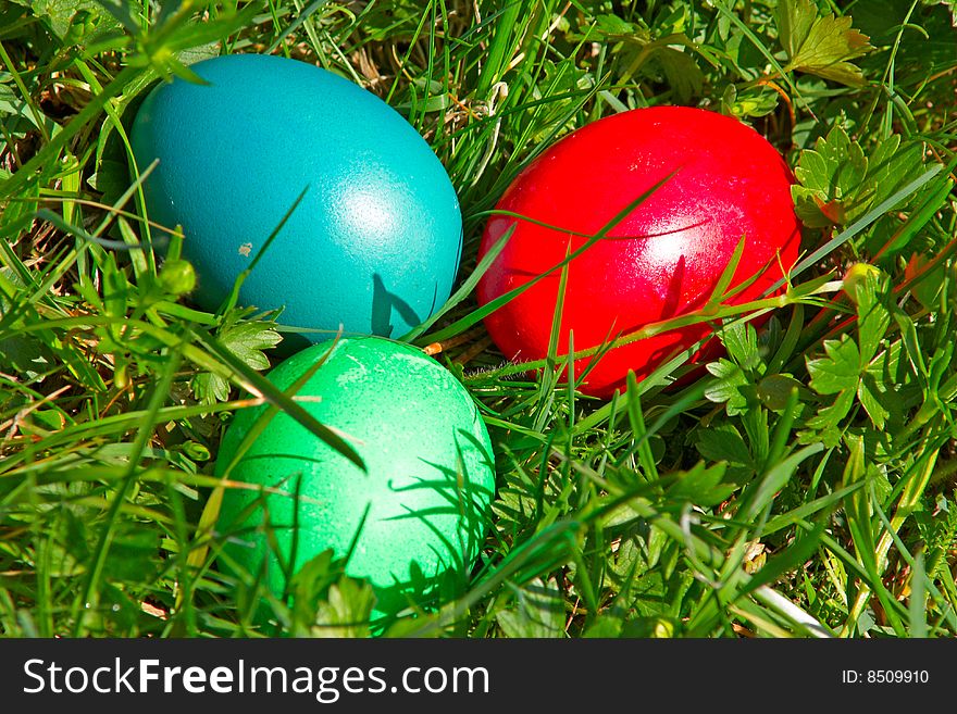 Colorful Easter eggs in grass (Red, Green, Blue)