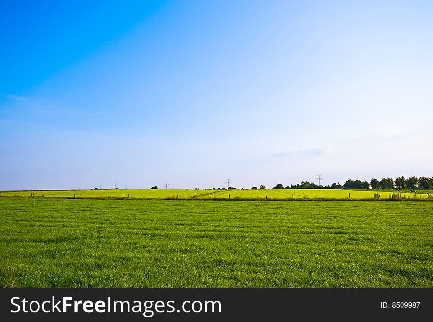 Bright green spring meadow with blue sky. Bright green spring meadow with blue sky