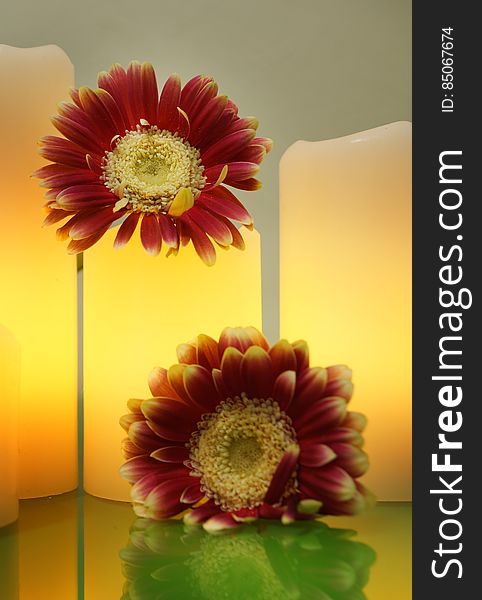 Gerbera flowers and lit electric candles on a green glass, Spa Style, selective focus