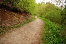 Forest Walking Royalty Free Stock Photography Forest Walking Royalty Free Stock Photography