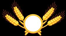Wheat 1 Royalty Free Stock Images Wheat 1 Royalty Free Stock Images