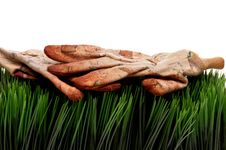 Old Worn Workgloves On Green Grass Royalty Free Stock Photos Old Worn Workgloves On Green Grass Royalty Free Stock Photos