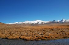 Free Autumn Wetland Stock Photo - 8515810