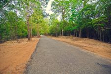 Secondary Road Path From Angkor`s Temple.Cambodia Stock Photo Secondary Road Path From Angkor`s Temple.Cambodia Stock Photo
