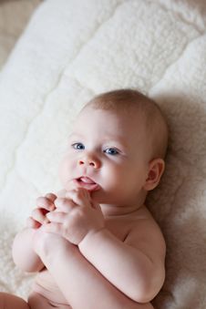 Foot In The Mouth Stock Photography Foot In The Mouth Stock Photography