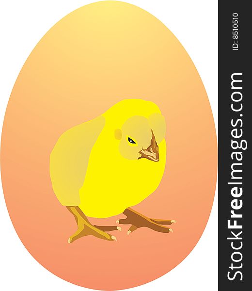 Yellow Chicken On Egg