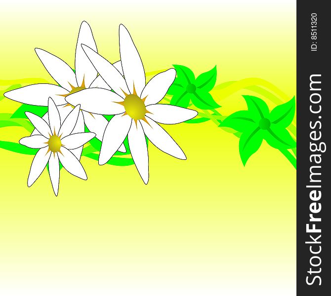 Floral spring background, vector illustration