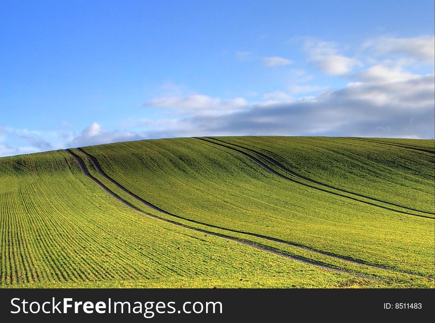 A Beautiful Landscape With Field And Sky
