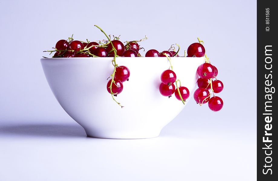 Red currant in bowl on white background