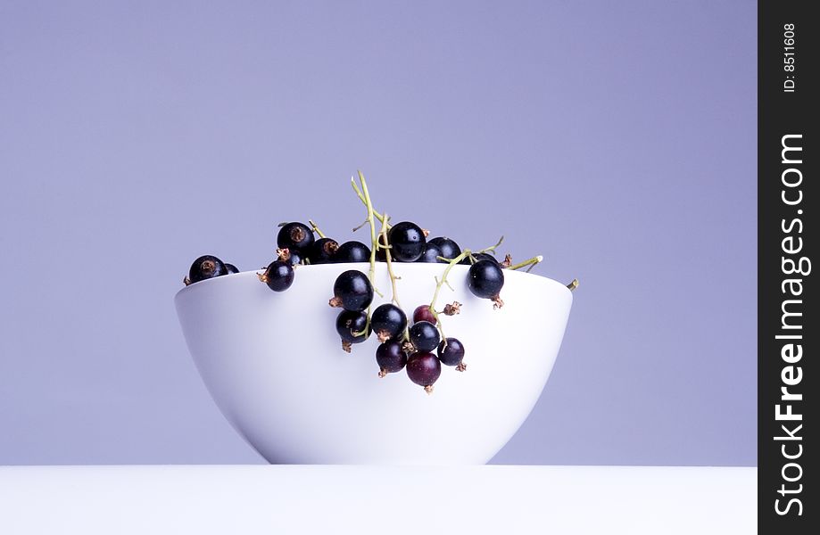 Black currant in bowl on white background