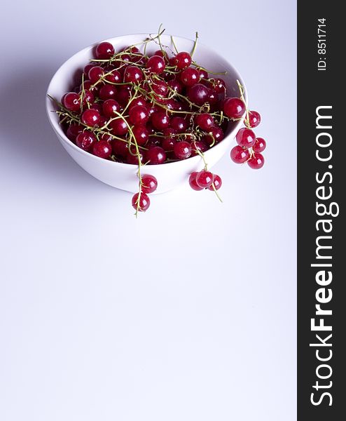 Red currant in bowl on white background