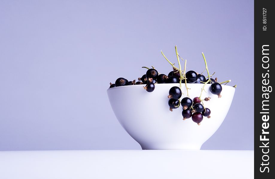 Black currant in bowl on white background