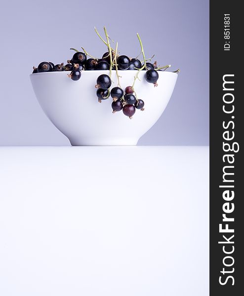 Black currant in bowl on white background
