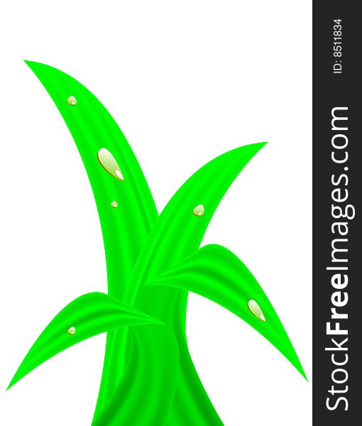 Plant with dew, vector illustration