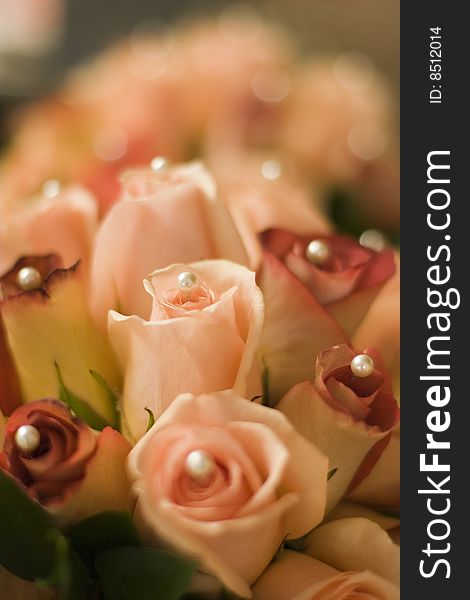 Bunch of boutonniere roses arranged before a wedding.